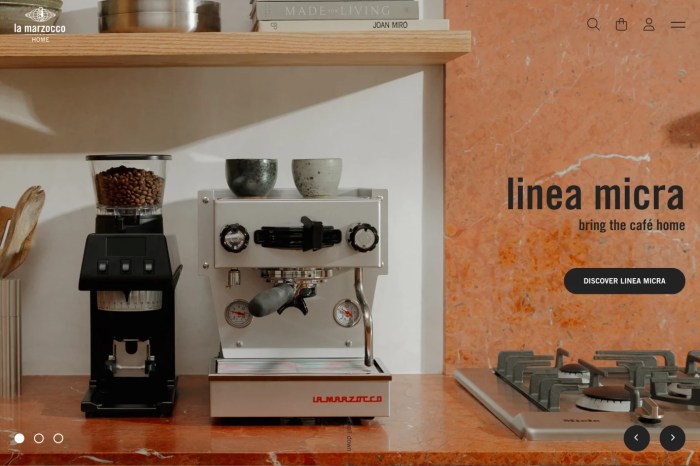 Screenshot of La Marzocco