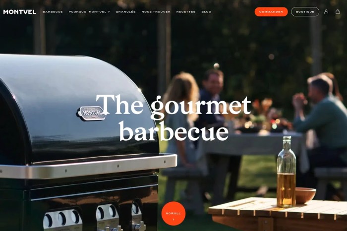 Screenshot of Montvel