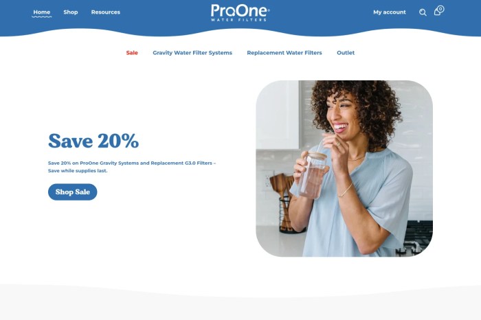 Screenshot of ProOne