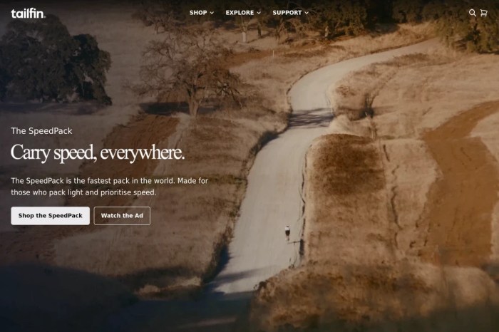 Screenshot of Tailfin