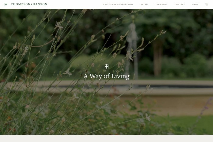 Screenshot of Thompson + Hanson