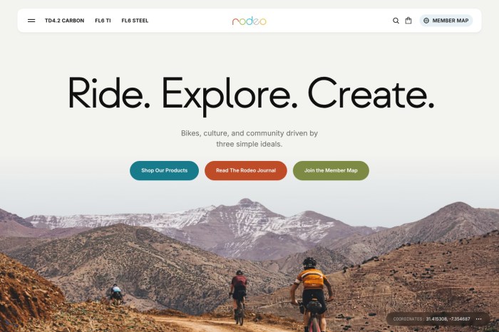 Screenshot of Rodeo Adventure Labs