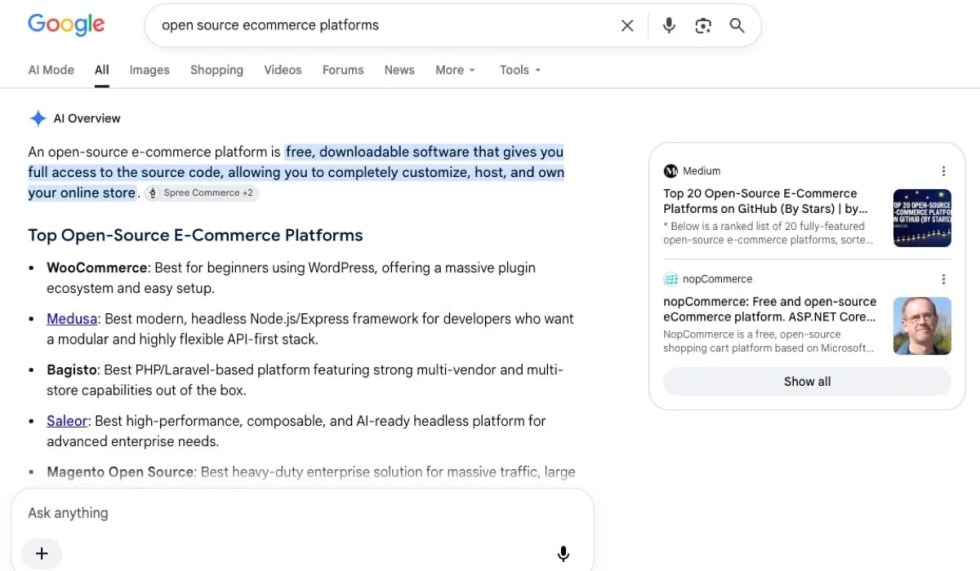 An AI Overview in Google
