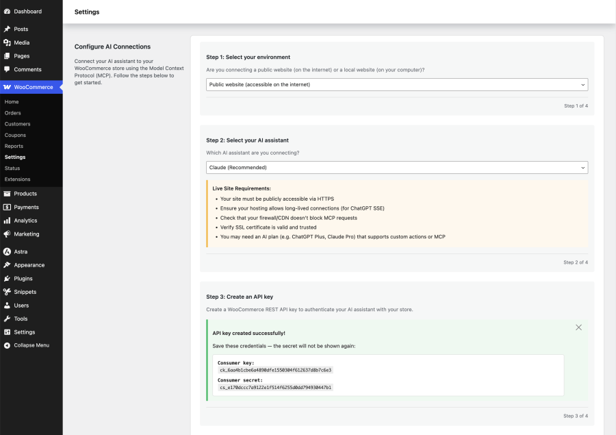 API Connection screen