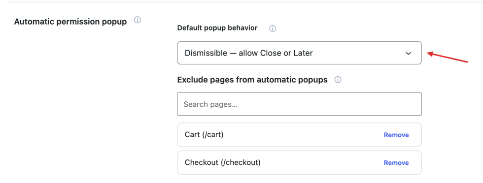 Automatic permission popup settings with default behavior and additional excluded pages.