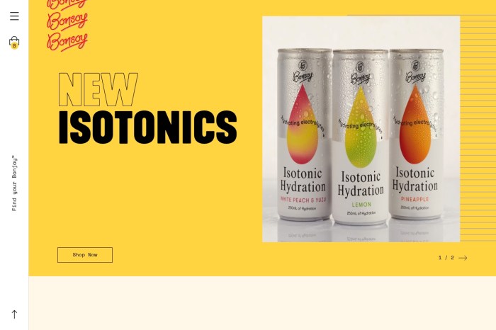 Screenshot of Bonsoy