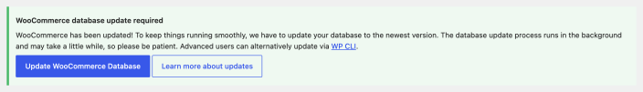 Current WooCommerce database update required notice with Update WooCommerce Database and Learn more about updates buttons
