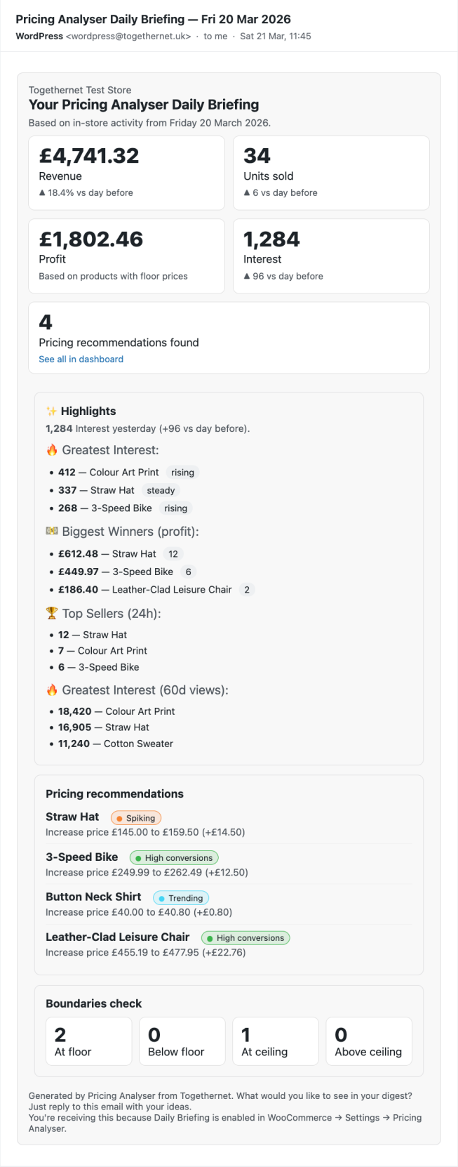 Pricing Analyser Daily Briefing Email