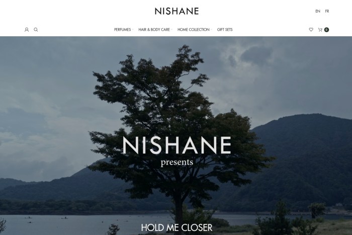 Screenshot of NISHANE