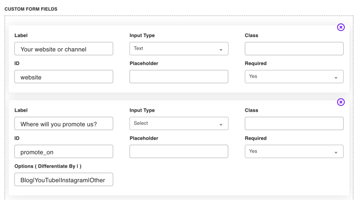 The Custom Form Fields builder with two questions, their input types, IDs and options
