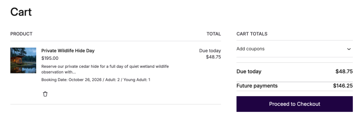 Cart showing a USD 195 booking for two adults and one young adult, with USD 48.75 due today and USD 146.25 in future payments.