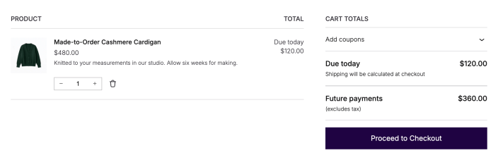 Cart with a 0 cardigan showing 0.00 due today and 0.00 in future payments
