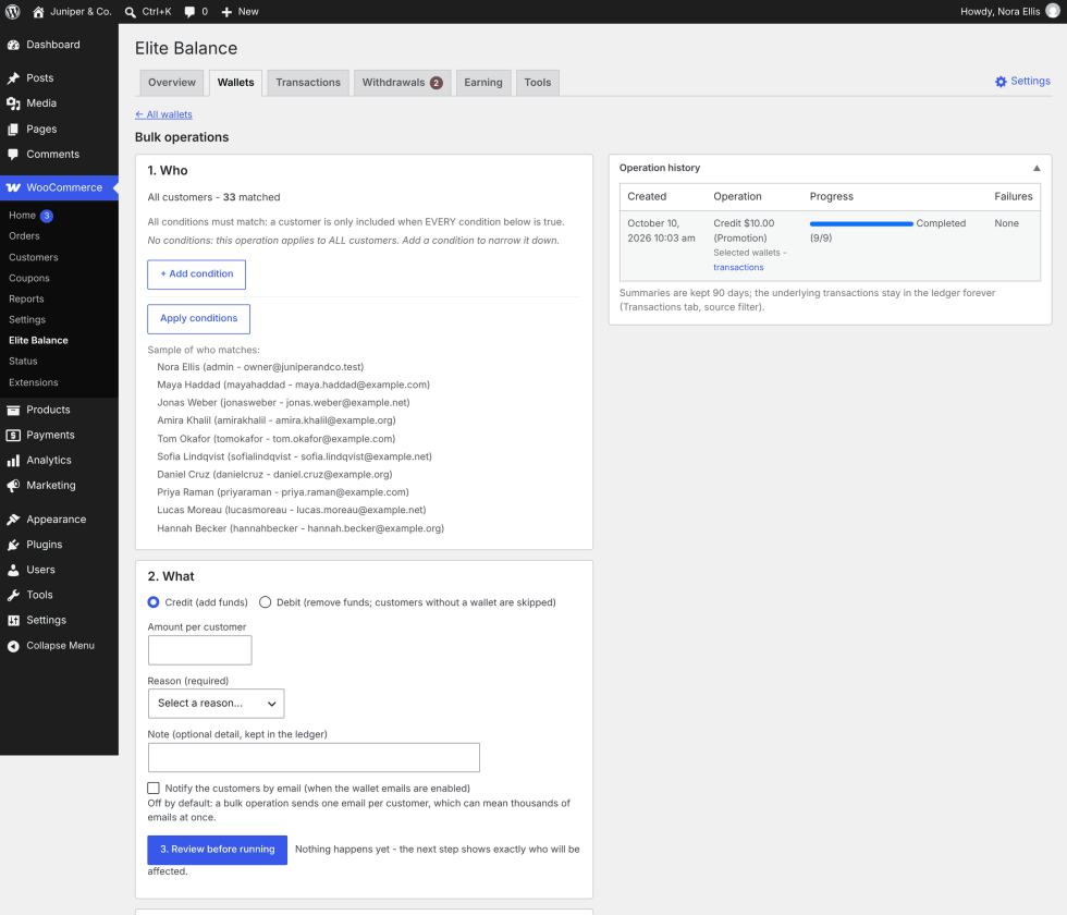 The Bulk operations screen: the 1. Who box with the audience sentence, matched count, Add condition and Apply conditions buttons and a sample of matching customers; the 2. What box with credit or debit, amount, reason, note and the notify checkbox; and the Operation history on the right with one completed credit.